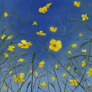 Días de verano y formas perezosas, 2015
